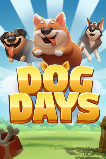 Играть Dog Days без регистрации | Вулкан Неон бесплатные игры