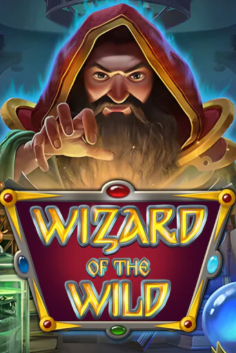 Играть Wizard of the Wild без регистрации | Вулкан Неон бесплатные игры